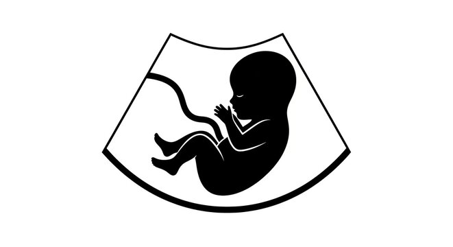 Fetus silhouette ultrasound image medical concept