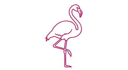 Flamingo line art illustration isolated on white background