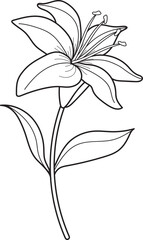 Elegant Lily Flower Line Drawing. Botanical Outline Illustration for Coloring Books, Floral Designs, or Graphic Elements.