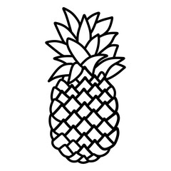 Fototapeta premium pineapple