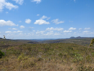 wilderness landscape