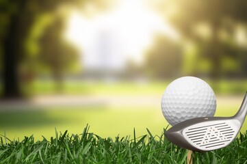 Golf clubs and white balls on green lawn