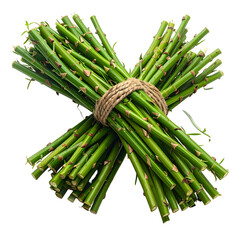 Freshly cut green bamboo stalks tied together with twine, arranged in an "X" shape