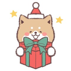 クリスマスプレゼントをもらって喜ぶ柴犬