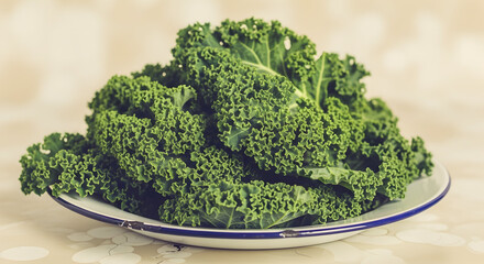 Abundant fresh curly green kale in a rustic enamel bowl, ready for healthy cooking or a nutritious salad preparation