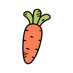 Isolated Hand Drawn Orange Carrot with Green Stem on White Background