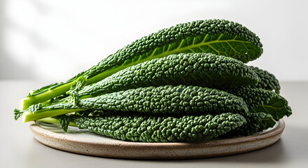 Fresh bunch of dark green Lacinato kale on a rustic ceramic plate, healthy and wholesome ingredient for cooking