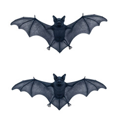 Fototapeta premium Two realistic flying bats silhouette with open wings dark blue tones isolated on transparent background