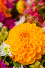 Autumn Fall Bouquet for Thanksgiving holiday. Seasonal Warm colorful blossom flowers arrangement festive decoration. Selective focus 