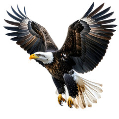 Obraz premium Majestic bald eagle in flight, wings spread wide, white head & yellow beak, against a dark backdrop