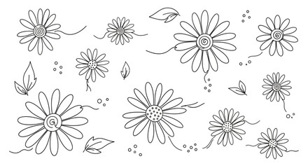 A collection of daisy flower sketches and leaf drawings