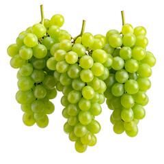 Obraz premium Three verdant grape bunches hang, glistening with natural light against a black background