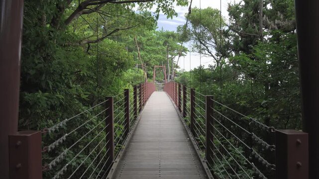 Suspension bridge in Jogasaki, Izu peninsula