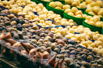 An array of fresh potatoes in diverse varieties are neatly arranged at a market stand. The vibrant mix displays a range of colors and textures, enticing shoppers.