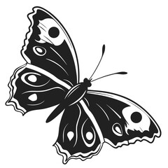 Stylized black and white butterfly silhouette with eye spots