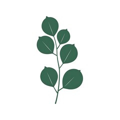 A stylized illustration of a dark green eucalyptus branch with multiple leaves against a clean white background, perfect for natural, botanical, or minimalist design themes