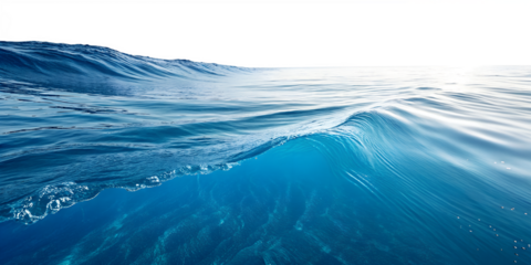 blue water surface with transparent background.