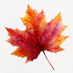 Fototapeta premium A vibrant autumn maple leaf showcasing stunning shades of red and orange against a clean white background.