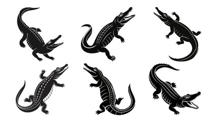 Collection of alligators in various poses and styles
