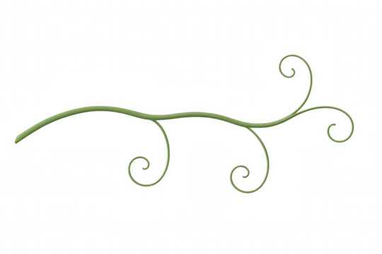 Green plant vine featuring decorative swirling tendrils, creating a graceful border or design element. Transparent background