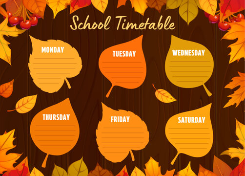 School timetable schedule with fall season leaves. Wooden background and bright yellow, orange and red leaf frames. Educational kids time table template for lessons and classes, weekly planner frame