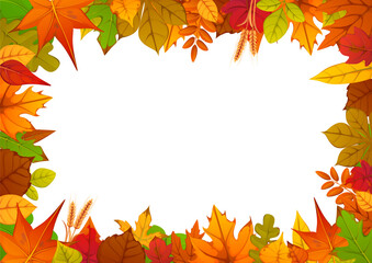 Autumn fall leaves seasonal frame with red, orange, yellow and brown leaves and wheat ears. Thanksgiving holiday autumnal border or template for invitations, greeting card, flyers and seasonal sales
