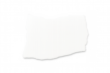 Blank white ripped paper piece with uneven edges and realistic texture on transparent background, offering copy space