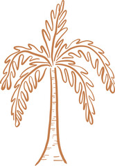 Line Art Tropical Palm Tree With Rounded Leaves