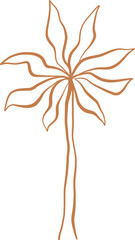 Line Art Tropical Palm Tree With Rounded Leaves
