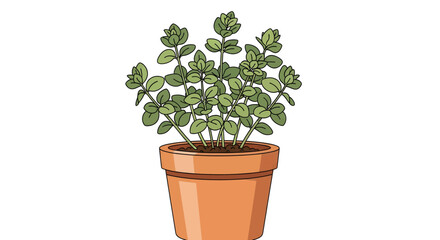 Obraz premium A healthy green potted plant with numerous small leaves in a terracotta pot, showcasing natural growth and vibrant vitality