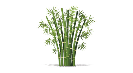 Obraz premium A Lush Cluster of Tall Green Bamboo Stalks with Broad Leaves, Representing Nature's Serenity and Growth