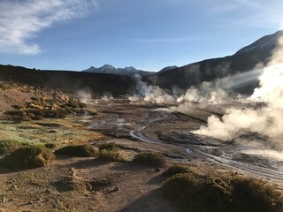 Steam Rising from Fumaroles at El Tatio Geothermal Field