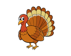 Turkey bird illustration, detailed feathers,