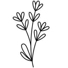 Minimalist Black and White Floral Branch Illustration on Transparent Background for Simple Design and Decor Element