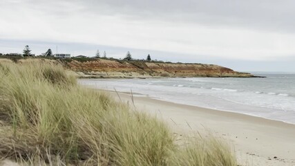 Grass swaying in the wind with a view of beautiful Noarlunga Beach at the mouth of the Onkaparinga River and massive orange cliffs, Fleurieu Peninsula, Victor Harbor, South Australia