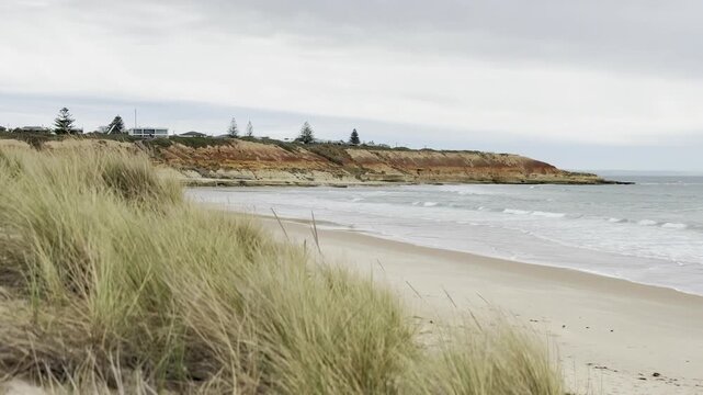 Grass swaying in the wind with a view of beautiful Noarlunga Beach at the mouth of the Onkaparinga River and massive orange cliffs, Fleurieu Peninsula, Victor Harbor, South Australia