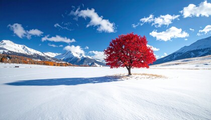 Vibrant Red Tree Stands Alone in Snowy Winter Landscape with Mountains.