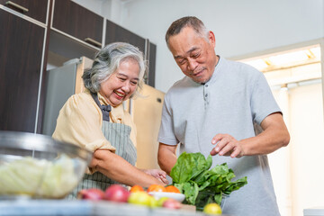 Happy Senior Couple Preparing a Healthy Meal and Cooking Together in the Kitchen, Retirement Lifestyle