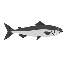 A simple illustration of a fish, showcasing its streamlined body and fins.