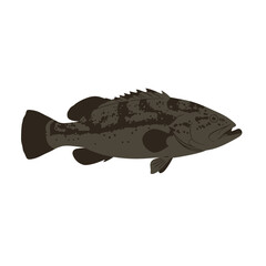 A stylized illustration of a fish, showcasing its unique shape and features.