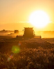 Fototapeta premium Dramatic silhouette of large agricultural machinery working in a vast open farm field during sunset. The golden sun flares brightly on the horizon, casting long shadows across the land. 