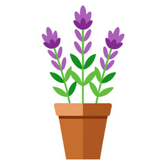 Naklejka premium Blooming lavender plant with purple flowers and green leaves potted in a simple brown terracotta container vector on white background.