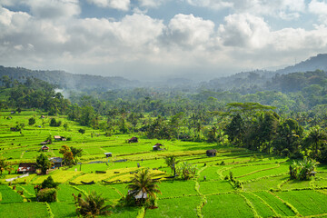 Awesome view of scenic rice terraces in Bali, Indonesia