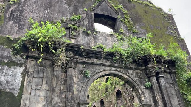 Green Leaves Growing on Top of Ancient Vasai Fort