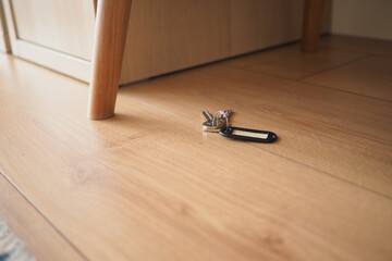 Keys are dropped on the wooden floor near a table
