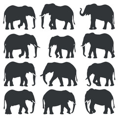 Elephant and Animal Silhouettes Vector Set