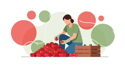 Harvesting Tomatoes: A Vibrant Vector Illustration of Agriculture and Fresh Produce