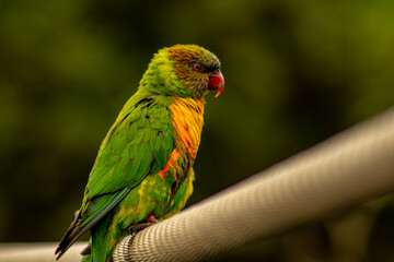 Naturaleza
