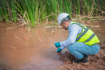An environmentalist is examining aquatic life to measure its abundance.