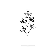 Simple Black Line Drawing of a Young Tree with Delicate Leaves
